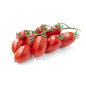 TOMATE CERISE GRAPPE ALLONGEE LOBELLO 3KG